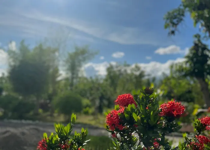 La Plumerias 渡假村