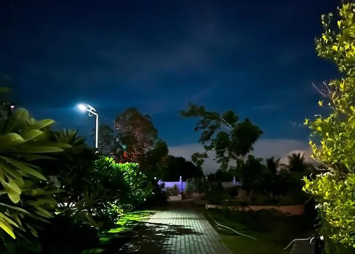 La Plumerias 2* 莫阿尔博阿