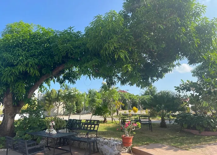 La Plumerias Moalboal