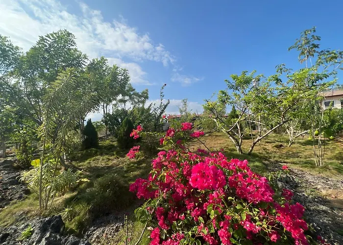 La Plumerias 2* 몰볼