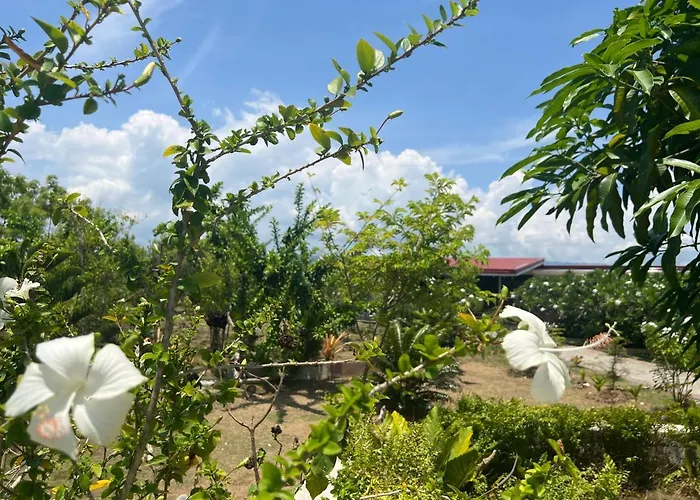 Ferieanlegg La Plumerias 2*