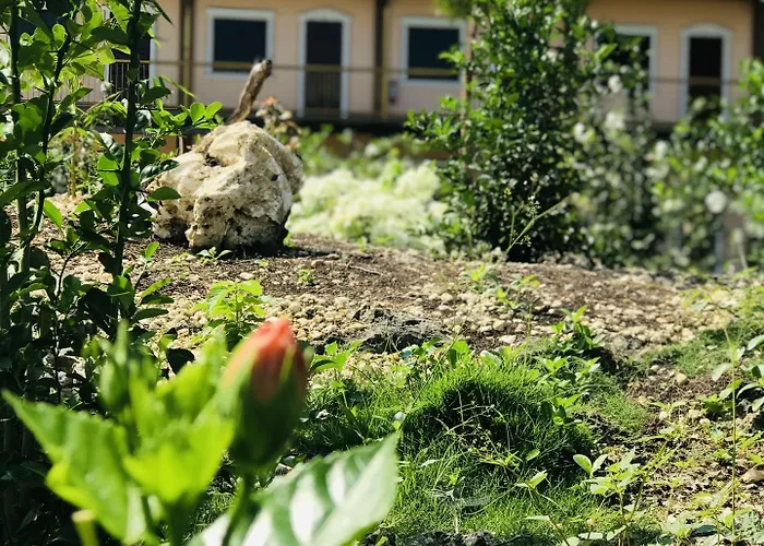 渡假村 La Plumerias