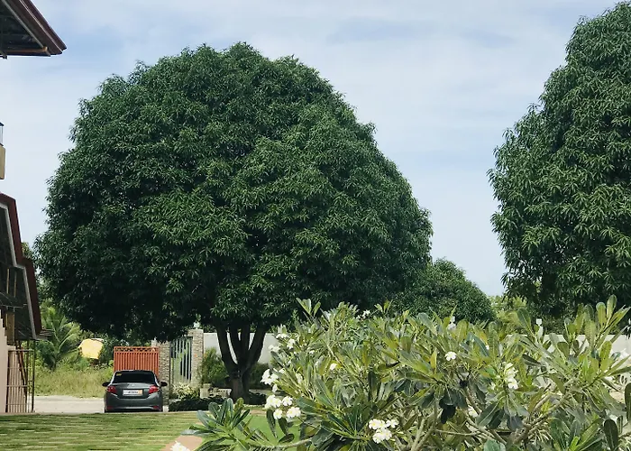 La Plumerias 莫阿尔博阿