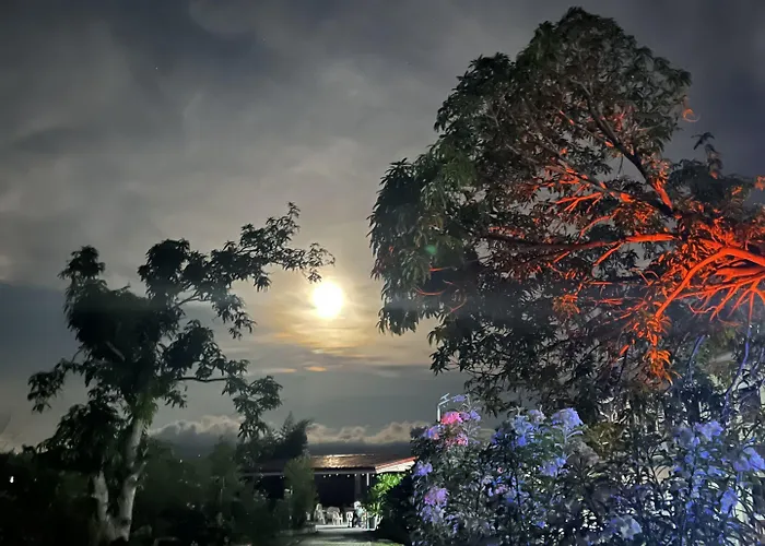 La Plumerias