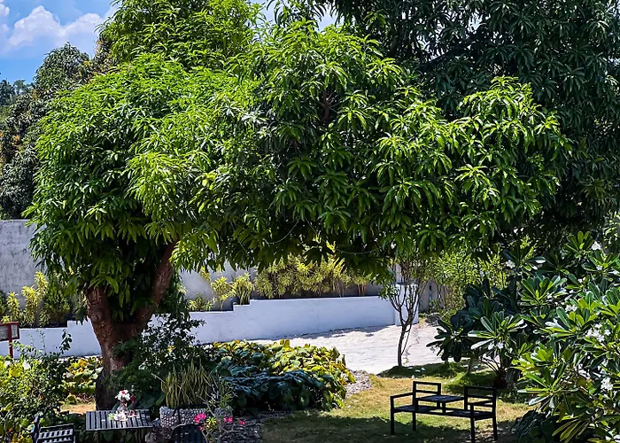 La Plumerias 리조트 몰볼
