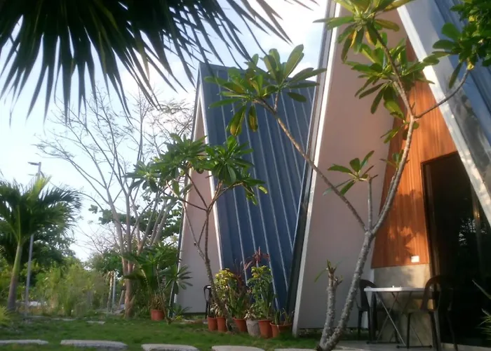 La Plumerias 몰볼