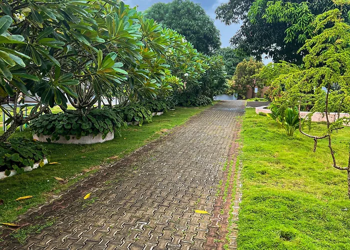 渡假村 La Plumerias 2*